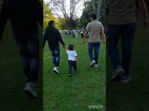 "Adorable Baby and Dog Bonding Moments | Too Cute to Miss!"