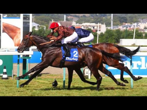 2022 DARLEY PRIX KERGORLAY (G2) | GOYA SENORA | DEAUVILLE, FRANCE |