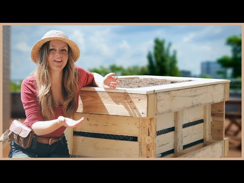 Build your own €20 pallet raised bed