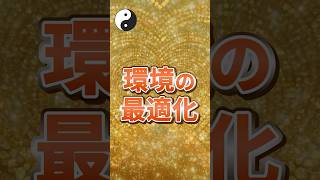 環境の最適化