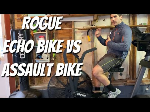 ROGUE ECHO BIKE vs ASSAULT BIKE! Biggest Difference