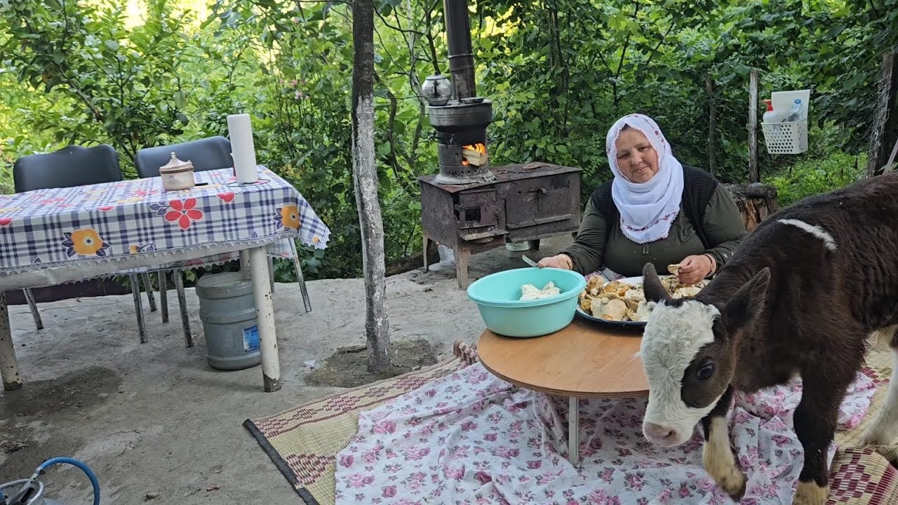 ‼️SEMAVER ÇAYI 🔥 CEMİLEMİN ELLERİNE SAĞLIK ACI MANTAR TATLI OLDU‼️☺️