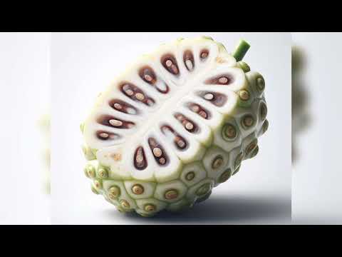 noni plants for sell contect number :9474990338