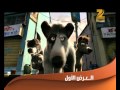 Roadside Romeo Promo on Zee Aflam 