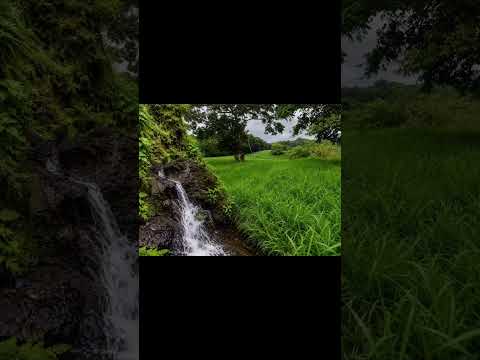 Tilaran - Guanacaste