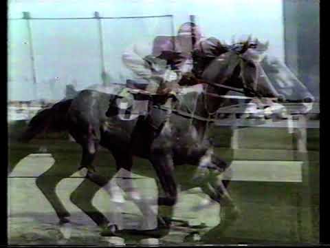 1990 WS Cox Plate preview