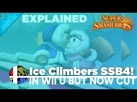 ice climber nintendo wii