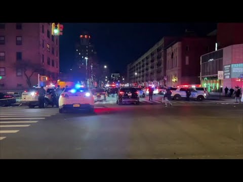 N. Y. P. D.’s Latest Crime Statistics