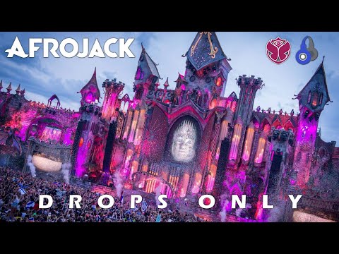 [Drops Only] Afrojack - Tomorrowland Belgium 2015