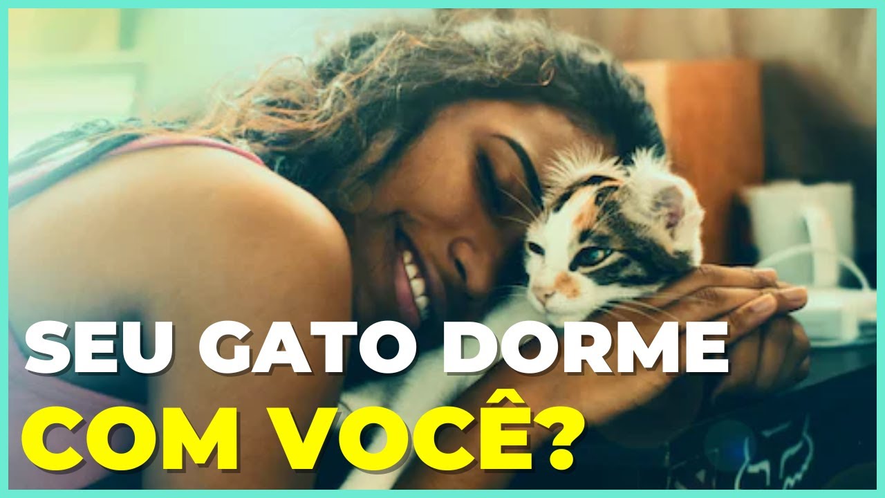 É POR ISSO Que Seu Gato Dorme Com Você!