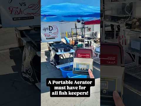 Lifesaver when being a vendor at 2025 Medaka Fest AQQA AC/DC Portable AirPump #aqqa #medakafest