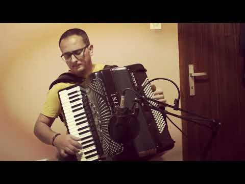 Ivan Stamenić - Igra skakavaca (Bora Dugić)