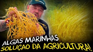 Miniatura do vídeo