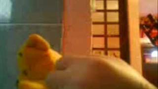 winie pooh show-video numero uno