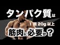 筋トレに必要なタンパク質はどのくらい?