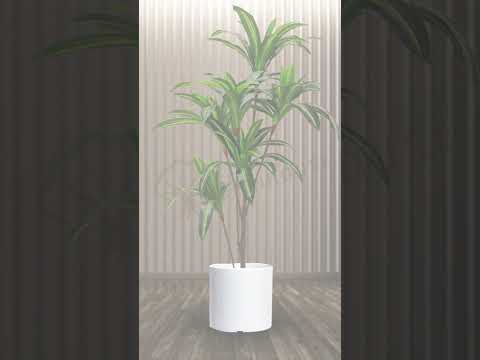 ARTIFICIAL DRACAENA PLANT TP-07