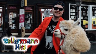Musik-Video-Miniaturansicht zu Mein Alpaka Songtext von Tommy Fieber