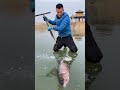 ये आदमी मछली की बर्फ जान बचाता है Ice Fish Short