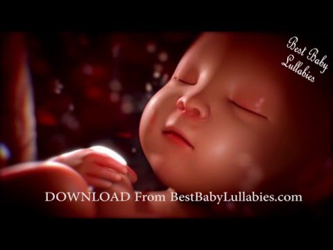 Baby White Noise Sleep Music Baby Womb Sounds Baby Heartbeat Baby Go To Sleep