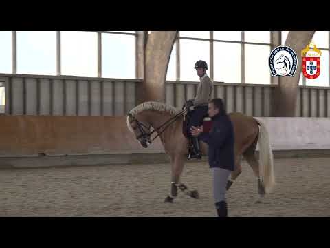 221130 4 Proj Ensino APSL&FEP - Luis Fernandes com Lavrador