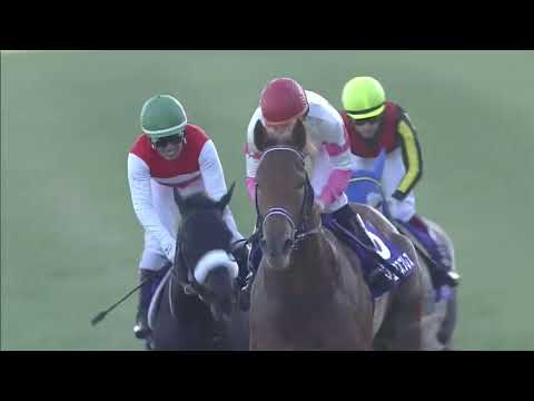 Asia Express (FL) wins Asahi Hai Futurity Stakes (Gr. 1) race 11 at Nakayama 12/15/2013