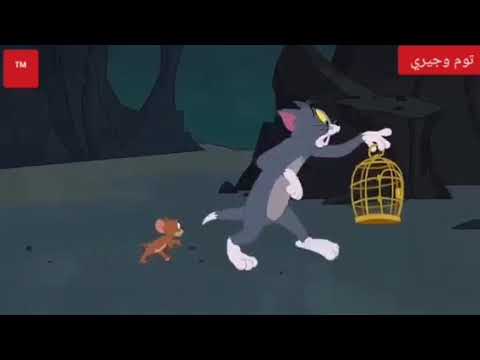 توم وجيري حلقة جديدة وموسم جديد 2019  حلقة التنين الصغير