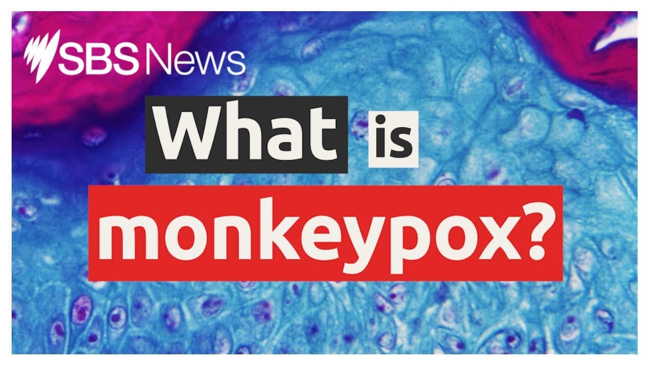 Monkeypox explained: what you need to know about the outbreak | SBS News