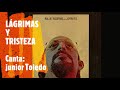 LÁGRIMAS Y TRISTEZA   Canta Junior Toledo Con WILLIE ROSARIO Y SU ORQUESTA 1973