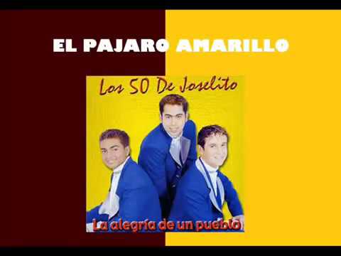EL PAJARO AMARILLO | LOS 50 DE JOSELITO