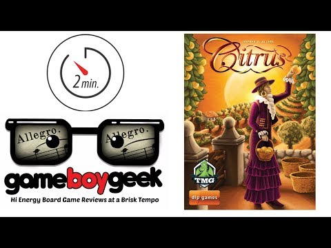 The Game Boy Geek's Allegro (2-min Review) of Citrus