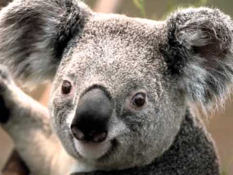 NahomyR’s Video 28894138803 2BWaXUW_SPI