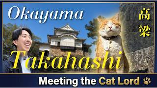 This Unknown Japanese Castle Town Has Japan's Only Samurai Cat Lord &amp; a Hidden Red Village