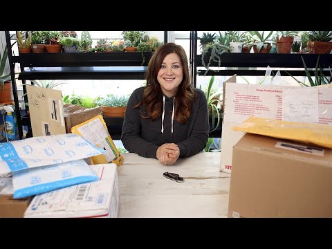 Mail Time! 📦// Garden Answer