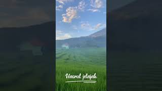 Download lagu Suasana pedesaan yang indah dipagi hari#shorts mp3 Download lagu Suasana pedesaan yang indah dipagi hari#shorts mp3