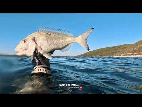 First steps with cetma spearguns!