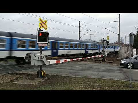 Osobní vlak sysel ze směru Česká Třebová