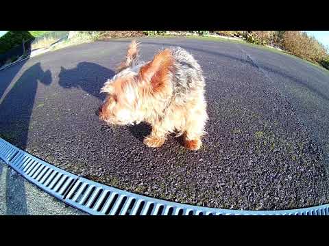 Eken H9R Test 1080P @ 60 FPS Best $100 Action Camera