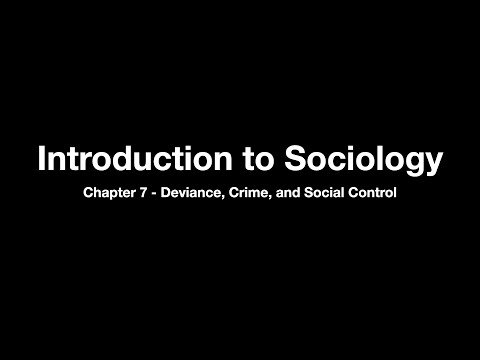 SOC 101 - Chapter 7