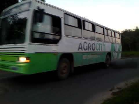 Agrocity, caio vitória MB OF1315.