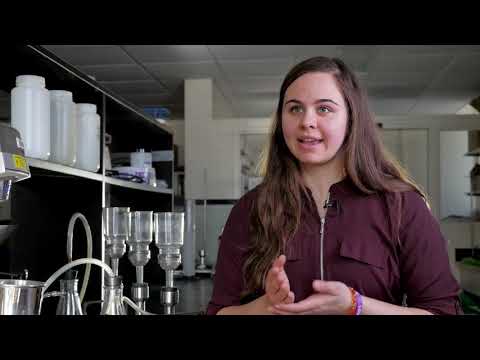 Environmental Earth Sciences