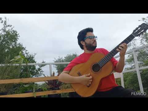 Entre ulluas y palmeras (gato) Andres Simón Lipisky