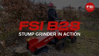 بيع آلة قطع الجذامير FSI B28 - صورة 4 | Agroline MA جديد آلة قطع الجذامير FSI B28 | صورة 4 - Agroline