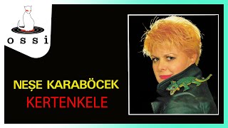 Neşe Karaböcek / Kertenkele