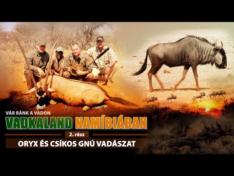 Wild Adventure - ORYX and STRIPED GNU HUNT