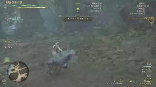 [モンハンワイルズ PS5 参加型]サブ垢育成中です。　初心者、玄人、初見さん誰でも参加ok!!