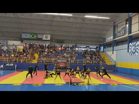 Rotina Texuguetes - Primeiro Lugar Coed nível 2 - Interunesp 2019 HIT ZERO