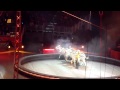 Circus 5
