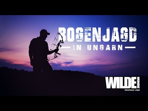 Bogenjagd in Ungarn | WILDE HUNDE