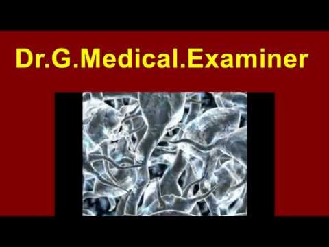 Dr  G Medical Examiner  112