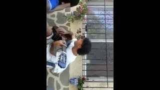 COMO VIVE  UN    PERRO VIEJO DE FITO Y FITIPALDIS